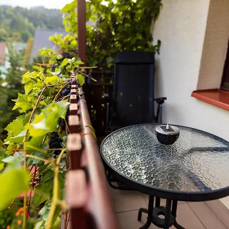 Apartmán Wypoczywaj Zdrowo Muszyna